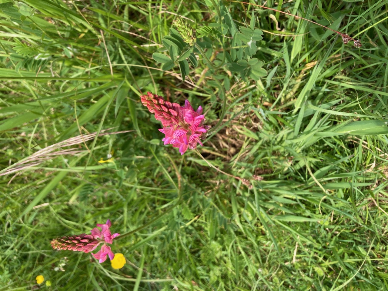 IMG_0680.jpeg