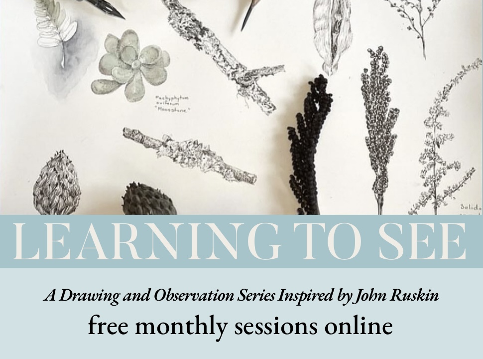 Learning to see (with Ruskin) 