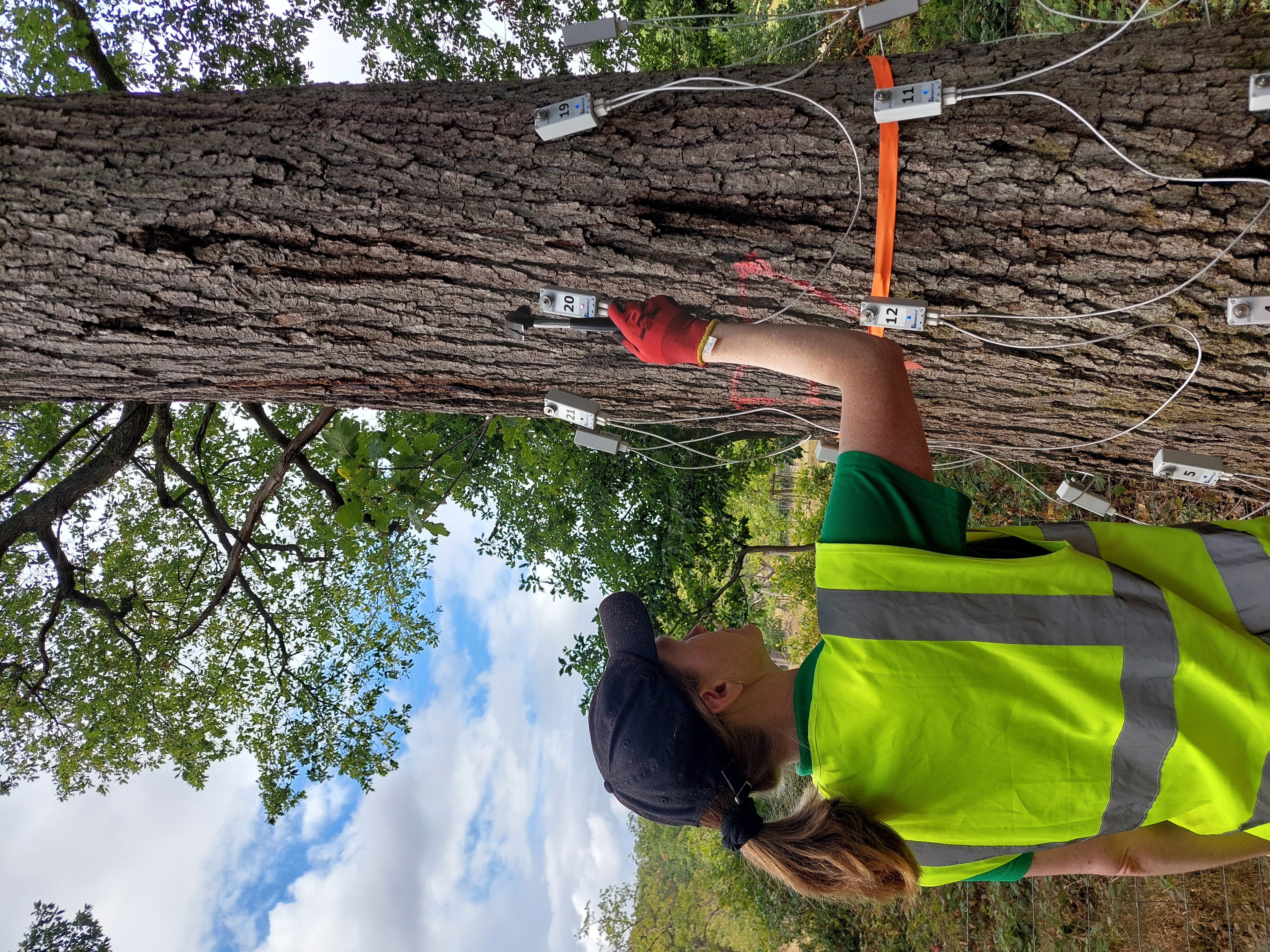 20250902_142843 (1).jpg