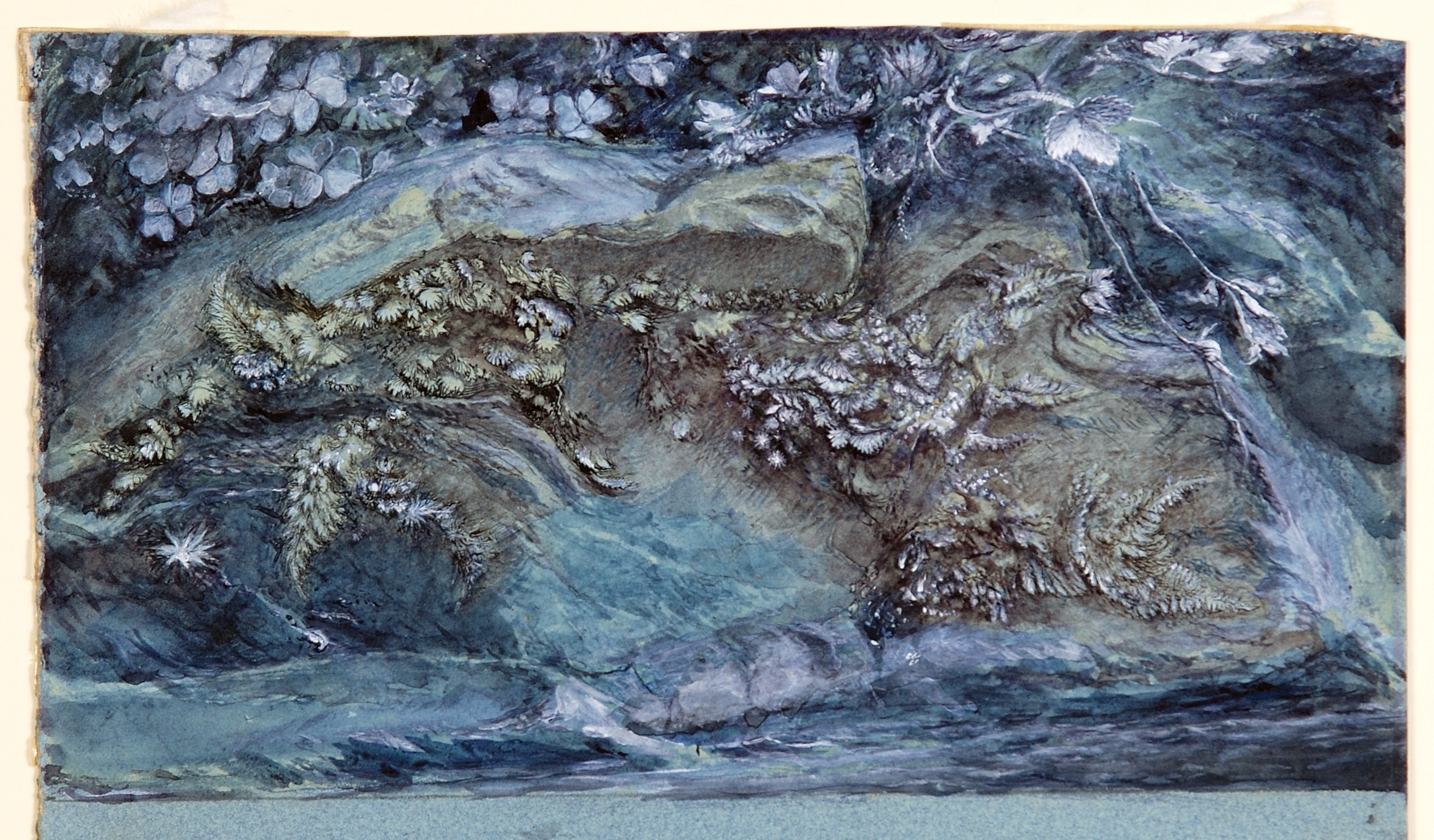 Download Study of Moss, Fern and Wood-Sorrel, upon a Rocky River Bank (1875-79)